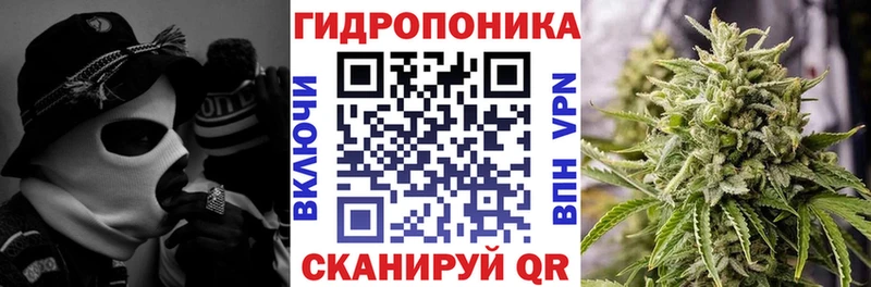 Где купить наркотики Шацк COCAIN  Марихуана  Псилоцибиновые грибы  Alpha-PVP  МЕТАМФЕТАМИН  Мефедрон  Гашиш 
