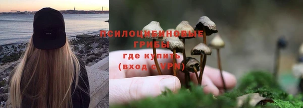не бодяженный Магас